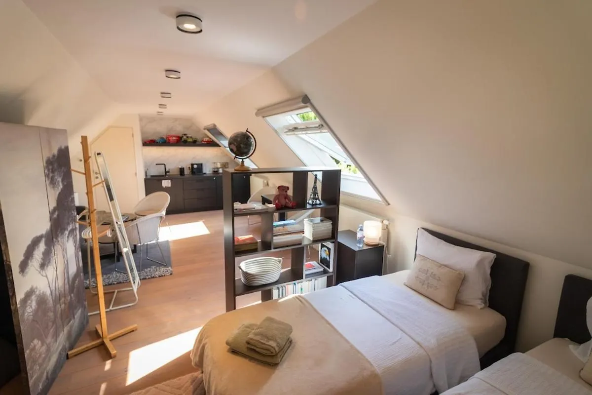Luxurious Residence With Private Parking 布鲁日