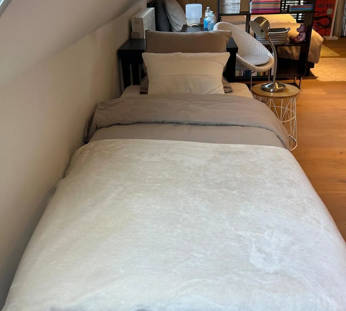 度假居 Luxurious Residence With Private Parking 布鲁日